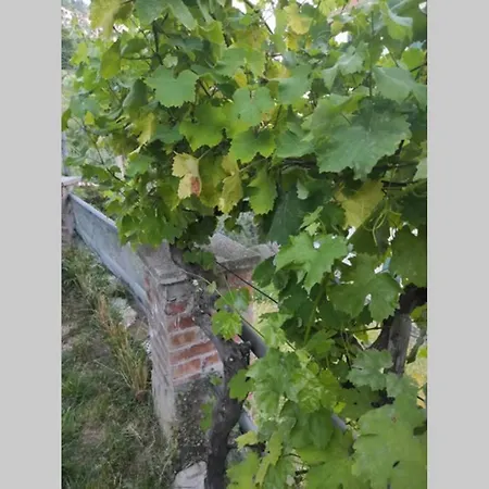 Villa Carlina, La Spezia - Citra 011015-Lt-1809 *